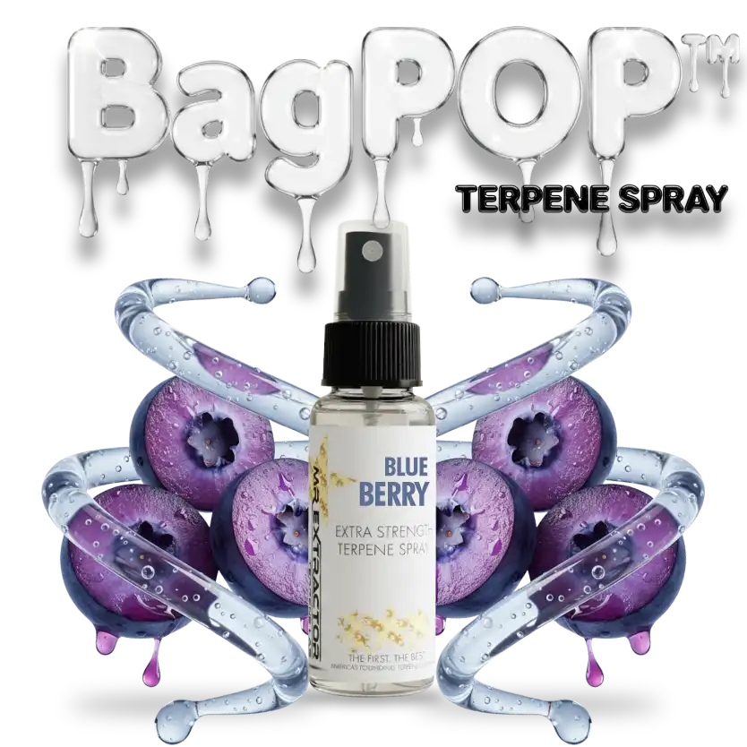 Blueberry Candy Terpene Spray