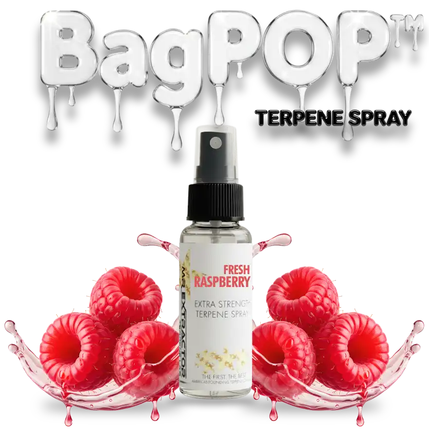 Raspberry Candy Terpene Spray | Made in USA | Kushcarts